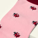 The Ladybug